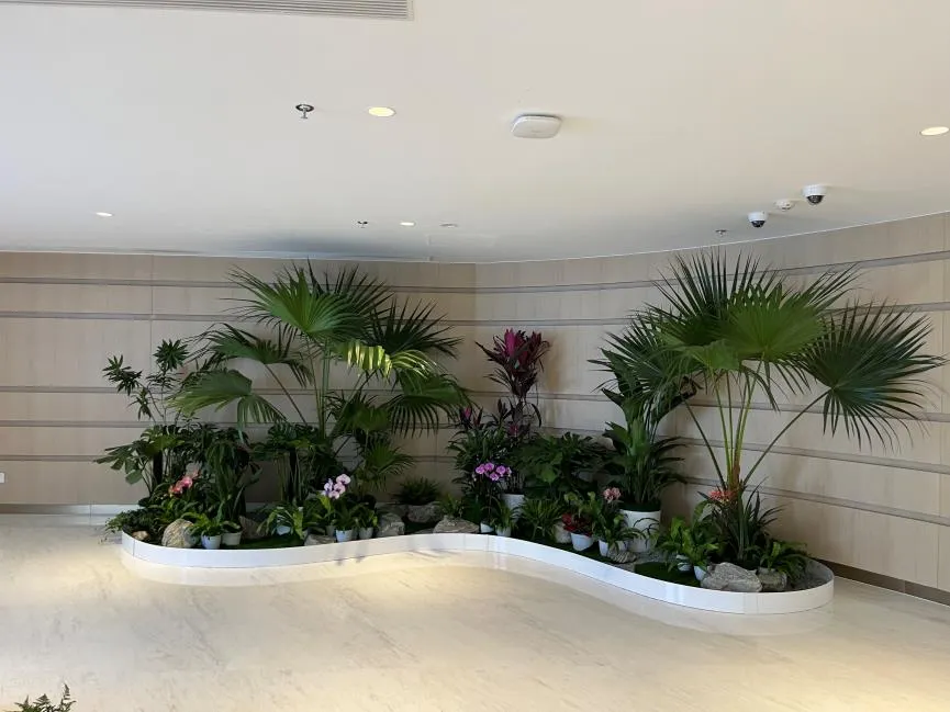 “了解余姚盆景租摆方案，开启空间美化新篇章！验